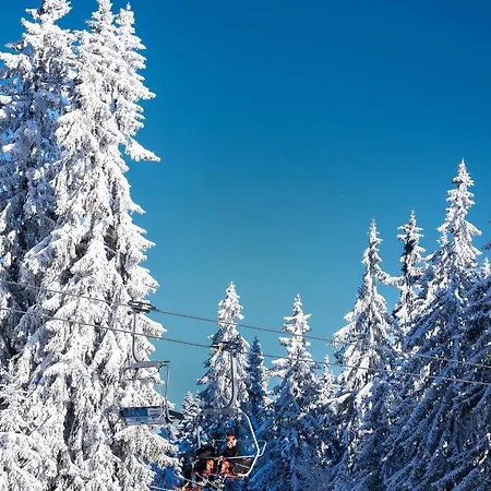 Cedar Heights 2 * Пампорово