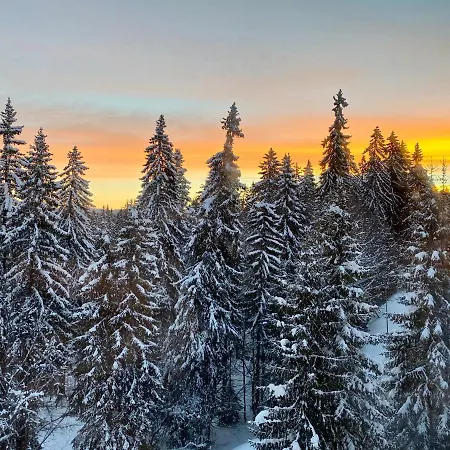 Cedar Heights 2 Пампорово