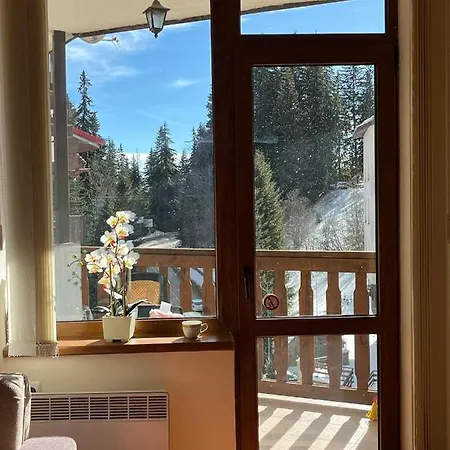 Апартамент Cedar Heights 2 *